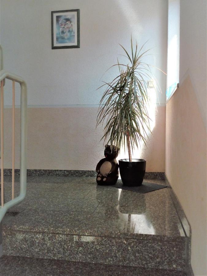 Ferienwohnung Jungbaer - Die Wohlfuehl-Adresse Im Stangenwald Sankt Ingbert Kültér fotó